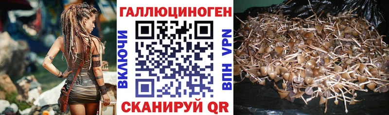 Псилоцибиновые грибы MAGIC MUSHROOMS где можно купить Староминская