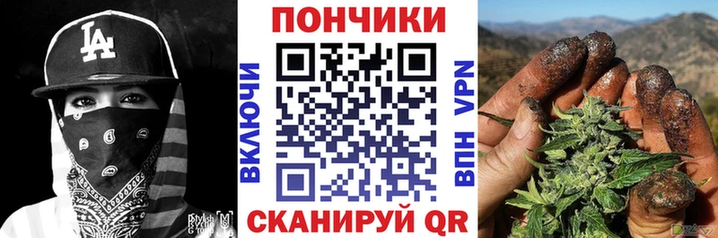 Бошки марихуана план  купить  цена  Староминская 
